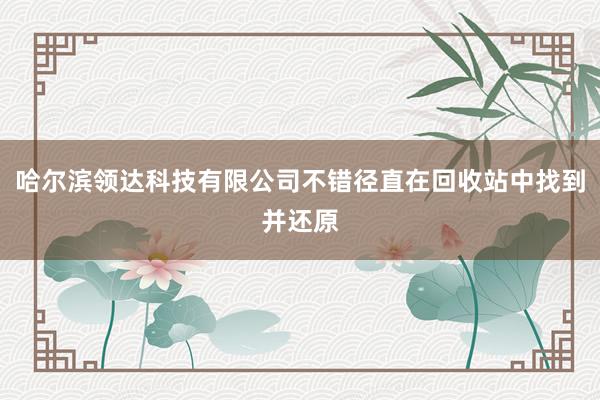 哈尔滨领达科技有限公司不错径直在回收站中找到并还原