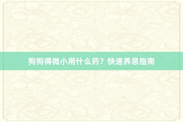 狗狗得微小用什么药？快速养息指南
