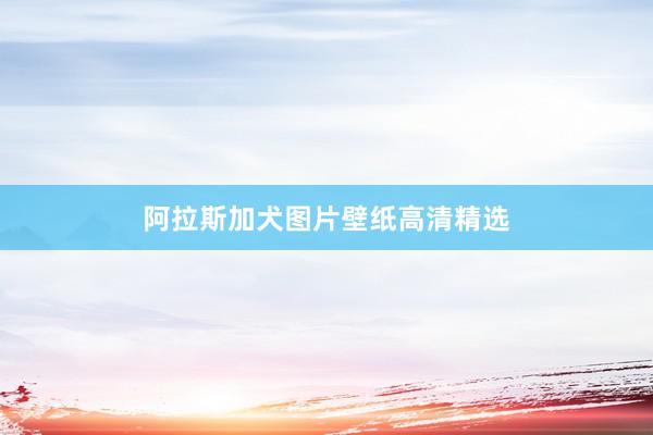 阿拉斯加犬图片壁纸高清精选