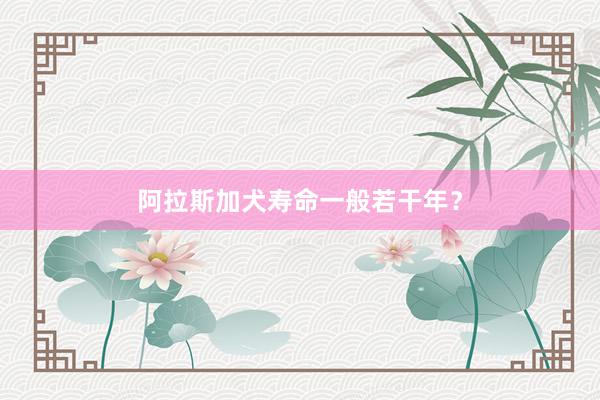 阿拉斯加犬寿命一般若干年?